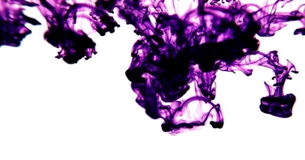彩绘飞溅 喷涂油漆污迹元素 色彩斑斓的墨水污迹凌乱 水彩斑斑五彩斑斓的水花创意与艺术 — 图库视频影像