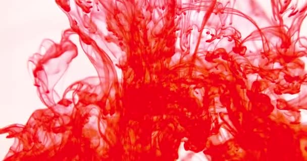 Krwawy Czerwony Kolor Krew Wodzie Kolorowy Abstrakcyjny Efekt Eksplozji Farba — Wideo stockowe