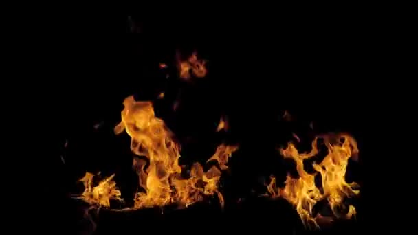 Hoří Velký Plamen Palte Černém Pozadí Abstraktní Požární Plamen Pozadí — Stock video
