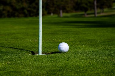 Golf topu, arka planda fincanın dudağında. Golf deliği
