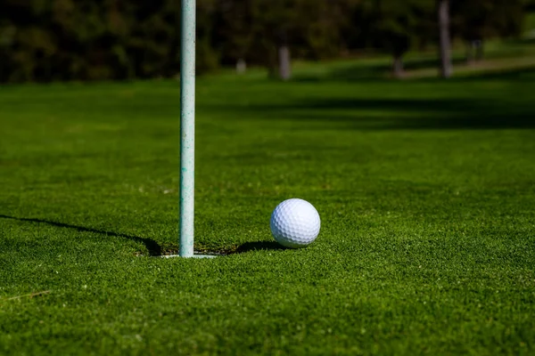 Golfbal Lip Van Cup Gras Achtergrond Golfgat — Stockfoto