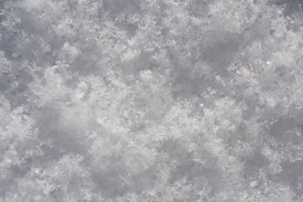 雪の質感 冬の白い背景 冬のデザインの背景 コピースペース — ストック写真