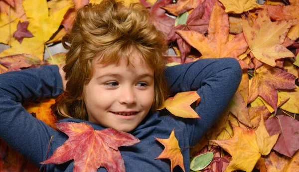 在秋叶上躺着一个滑稽的小男孩的画像 快乐秋天的活动 有趣秋天 做白日梦的孩子脸 — 图库照片