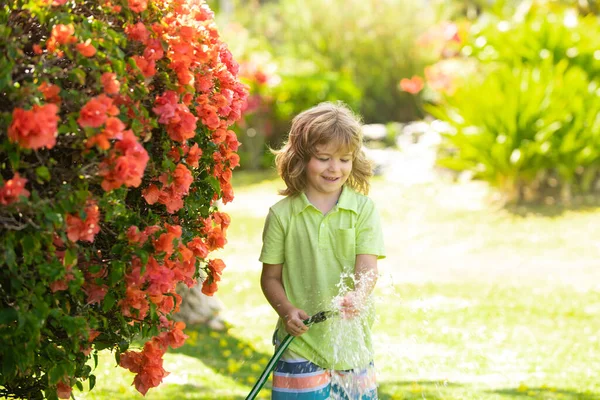 Glad Pojke Häller Vatten Från Slang Barnvattning Blommor Trädgården Trädgårdsskötsel — Stockfoto