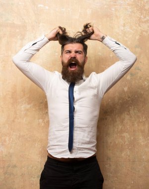 Komik saç kesimi. İnsan yüz ifadeleri ve duyguları. Komik saç stili, modern saç kesimi olan hippi bir adam. Sakallı, sakallı ve eşcinsel heyecanlı bir adam. Kızgın adamlar.