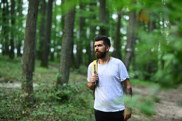 Människan Vandrar Landsbygden Genom Skog Man Med Ryggsäck Går Skogen — Stockfoto