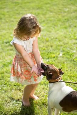 Yazın yeşil çimlerin üzerinde Russell Terrier köpeği olan tatlı bir kız. Doğadaki küçük komik çocuk. Mutlu Çocukluk