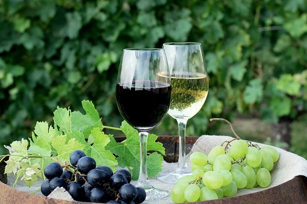 Kırmızı ve beyaz şarap ile doğal üzüm — Stok fotoğraf