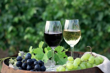 Red and white wine with grapes in nature clipart