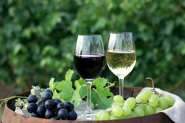 Vinho tinto e branco com uvas na natureza — Fotografia de Stock