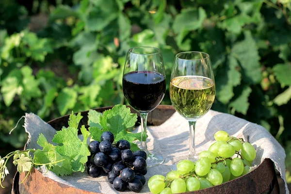 Red and white wine with grapes in nature — Stock Photo, Image
