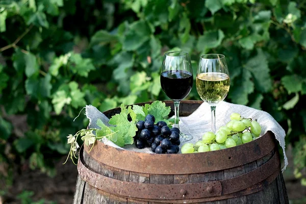 Vin rouge et blanc avec raisins dans la nature — Photo