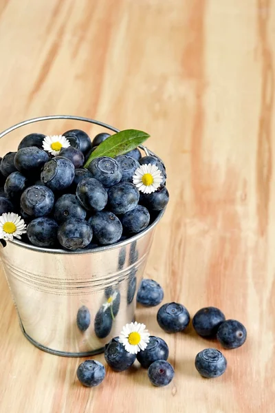 Arándanos en un cubo con flores de margarita — Foto de Stock