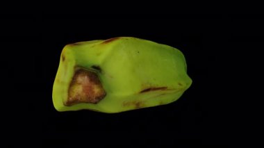 Şeffaf arka planda (alfa kanalı ile) dönen bir Muz Pişirme (Filipinler 'den Saba türevi) gerçekçi yorumlaması. Video kusursuz bir şekilde döngüye giriyor ve üç boyutlu nesne gerçek bir muzdan taranıyor..