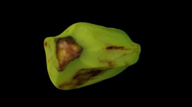 Siyah zemin üzerinde dönen bir Muz Pişirme (Filipinler 'den Saba türevi) gerçekçi canlandırması. Video kusursuz bir şekilde döngüye giriyor ve üç boyutlu nesne gerçek bir muzdan taranıyor..