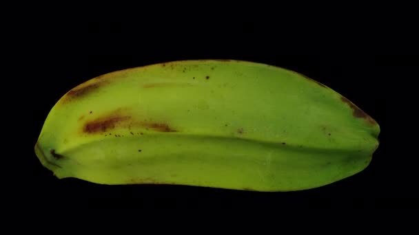 Реалістичне Відображення Банана Приготування Їжі Різноманітність Саба Філіппін Прозорому Фоні — стокове відео