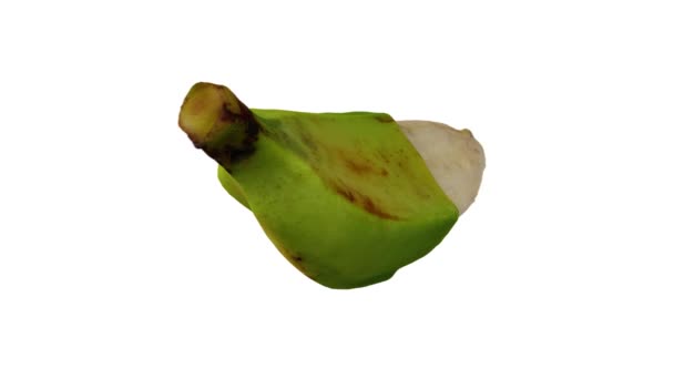 ホワイトバックに部分的に皮をむいたバナナ フィリピンからのサバ品種 のスピニングの現実的なレンダリング ビデオはシームレスにループされ 3Dオブジェクトは実際のバナナからスキャンされます — ストック動画
