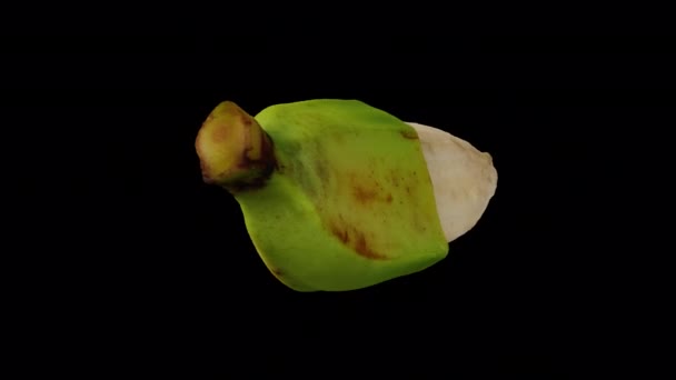 在透明背景下 真实渲染旋转的部分剥皮烹调香蕉 来自菲律宾的萨巴品种 视频是无缝循环的 3D对象从一个真正的香蕉上扫描 — 图库视频影像