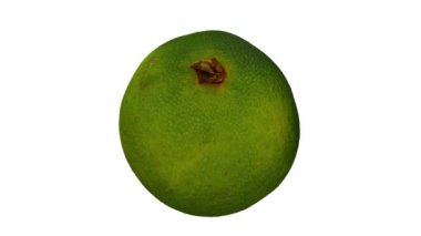 Beyaz arka planda yuvarlanan bir Calamansi 'nin (Filipin kireçlenmesi) gerçekçi bir canlandırması. Video kusursuz bir şekilde döngüye giriyor ve üç boyutlu nesne gerçek bir kalamansi tarafından taranıyor..