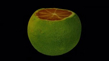 Şeffaf arka planda (alfa kanalı ile) dönen Calamansi 'nin (Philippine Lime) gerçekçi canlandırması. Video kusursuz bir şekilde döngüye giriyor ve üç boyutlu nesne gerçek bir kalamansi tarafından taranıyor..