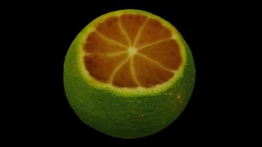 Siyah zemin üzerinde yuvarlanan Calamansi 'nin (Filipin kireçlenmesi) gerçekçi bir canlandırması. Video kusursuz bir şekilde döngüye giriyor ve üç boyutlu nesne gerçek bir kalamansi tarafından taranıyor..