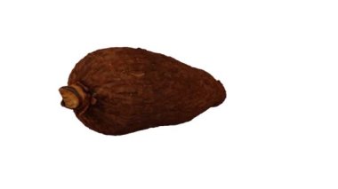 Beyaz arka planda dönen Cassava (Yuca) Tuber 'in gerçekçi canlandırması. Video kusursuz bir şekilde döngüye giriyor ve üç boyutlu nesne gerçek bir kasavadan taranıyor..