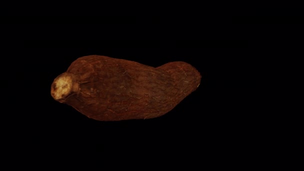 Şeffaf Arkaplan Alfa Kanalı Ile Üzerinde Dönen Bir Cassava Yuca — Stok video