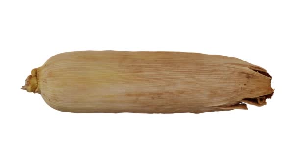 Realistic Render Rolling Unpeeled Corn Maize Cob Husk White Background — Stock Video