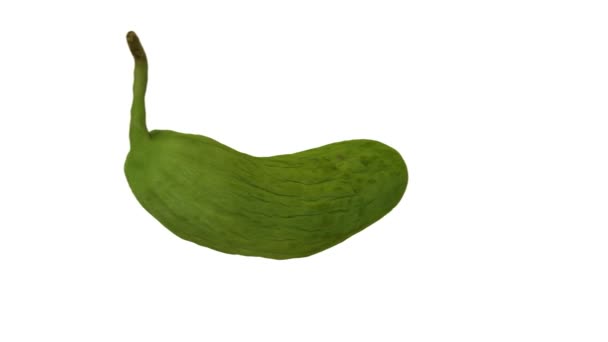 Realistic Render Spinning Young Armenian Cucumber Green Unripe White Background — Stock Video