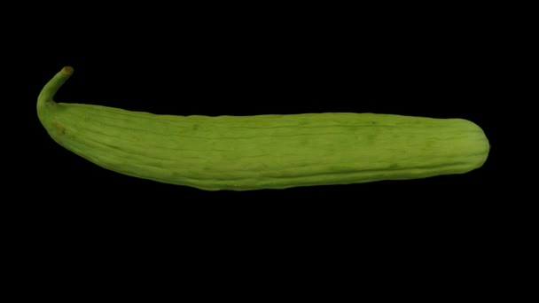 现实地渲染一个滚动的亚美尼亚年轻黄瓜 未成熟 黑色背景 视频是无缝循环的 3D对象是由一个真正的黄瓜扫描的 — 图库视频影像