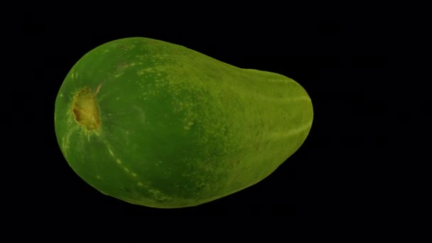 Realistisk Återgivning Snurrande Emerald White Cucumber Transparent Bakgrund Med Alfakanal — Stockvideo