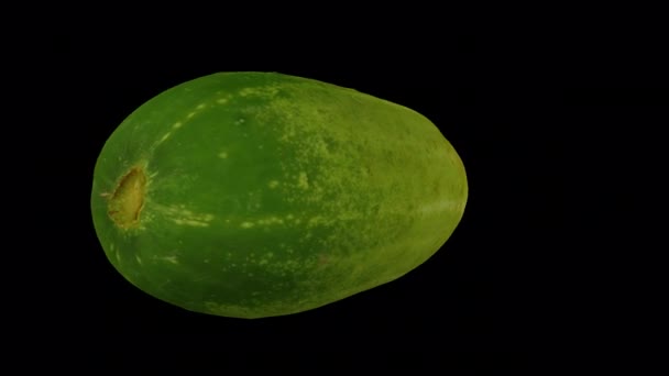 Realistische Darstellung Einer Rotierenden Smaragdgrünen Gurke Auf Transparentem Hintergrund Mit — Stockvideo