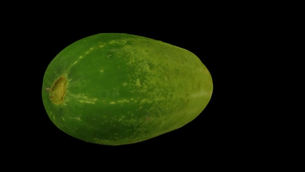 Realistische Darstellung Einer Rotierenden Smaragdweißen Gurke Auf Schwarzem Hintergrund Das — Stockvideo