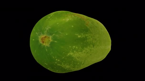 Realistisk Återgivning Snurrande Skär Emerald White Cucumber Transparent Bakgrund Med — Stockvideo