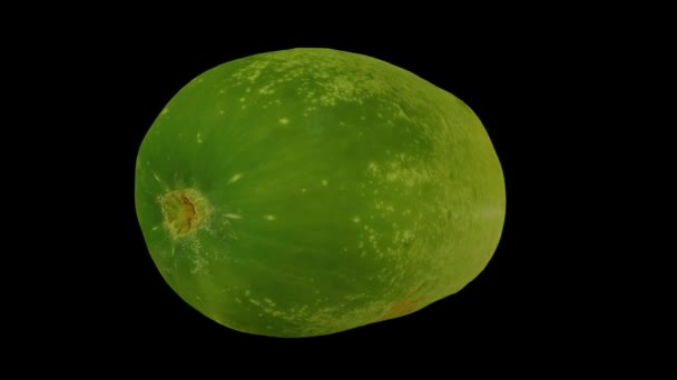Realistisk Återgivning Roterande Skär Emerald White Cucumber Svart Bakgrund Videon — Stockvideo