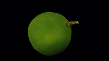 Şeffaf arkaplan (alfa kanalı ile) üzerinde dönen bir Dalandan Orange 'ın gerçekçi canlandırması. Video pürüzsüz bir şekilde döngüye giriyor ve 3 boyutlu nesne gerçek bir dalandan turuncudan taranıyor..