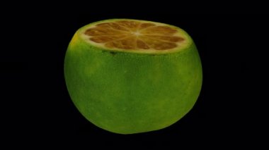 Şeffaf arka planda (alfa kanallı) dönen bir Dalandan Orange 'ın gerçekçi canlandırması. Video pürüzsüz bir şekilde döngüye giriyor ve 3 boyutlu nesne gerçek bir dalandan turuncudan taranıyor..