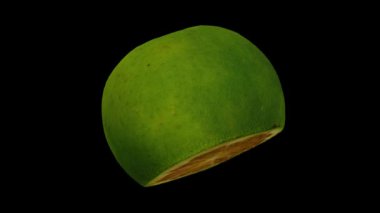 Siyah arka planda Dalandan Orange kesiminin gerçekçi canlandırması. Video pürüzsüz bir şekilde döngüye giriyor ve 3 boyutlu nesne gerçek bir dalandan turuncudan taranıyor..