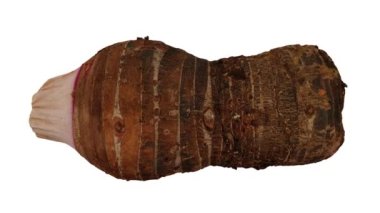 Beyaz arka planda yuvarlanan bir Taro (Gabi) kökünün gerçekçi canlandırması. Video sorunsuz bir şekilde döngüye giriyor ve üç boyutlu nesne gerçek bir kökten taranıyor (korm).