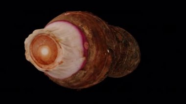 Şeffaf arkaplan üzerinde dönen bir Taro (Gabi) kökünün gerçekçi canlandırması (alfa kanalı ile). Video sorunsuz bir şekilde döngüye giriyor ve üç boyutlu nesne gerçek bir kökten taranıyor (korm).