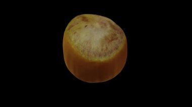 Siyah arka planda yuvarlanan taze fındıklı (Cobnut) gerçekçi bir sunum. Video pürüzsüz bir şekilde döngü halindedir ve üç boyutlu nesne gerçek bir fındıktan taranır.).