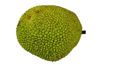 Beyaz arka planda dönen bir Jackfruit 'in gerçekçi canlandırması. Video kusursuz bir şekilde döngüye giriyor ve üç boyutlu nesne gerçek bir Jackfruit 'den taranıyor..