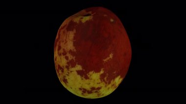 Şeffaf arka planda (alfa kanalı ile) dönen bir Jujube meyvesinin (Şekerkamışı çeşitliliği) gerçekçi yorumlanması. Video pürüzsüz bir şekilde döngüye giriyor ve üç boyutlu nesne gerçek bir jube tarafından taranıyor..