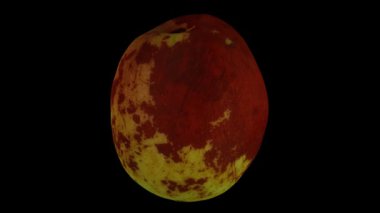 Siyah zemin üzerinde dönen bir Jujube meyvesinin (Şekerkamışı çeşitliliği) gerçekçi canlandırması. Video pürüzsüz bir şekilde döngüye giriyor ve üç boyutlu nesne gerçek bir jube tarafından taranıyor..