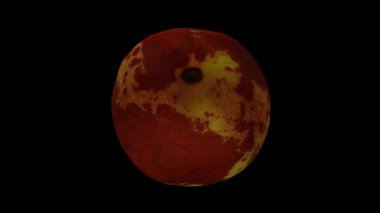 Siyah zemin üzerinde yuvarlanan bir Jujube meyvesinin (Şekerkamışı çeşitliliği) gerçekçi bir canlandırması. Video pürüzsüz bir şekilde döngüye giriyor ve üç boyutlu nesne gerçek bir jube tarafından taranıyor..