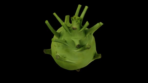 Renderizado Realista Una Bombilla Kohlrabi Nabo Alemán Sobre Fondo Negro — Vídeo de stock