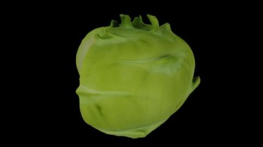 Siyah zemin üzerinde dönen bir Kohlrabi (Alman Şalgam) ampulünün gerçekçi canlandırması. Video kusursuz bir şekilde döngüye giriyor ve üç boyutlu nesne gerçek bir kohlrabi tarafından taranıyor..