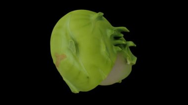 Siyah arkaplandaki Kohlrabi (Alman Şalgam) ampulünün gerçekçi bir canlandırması. Video kusursuz bir şekilde döngüye giriyor ve üç boyutlu nesne gerçek bir kohlrabi tarafından taranıyor..