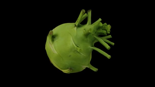 Realistic Render Rotating Kohlrabi German Turnip Bulb Black Background 비디오는 — 비디오