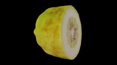 Siyah arka planda dönen yarı yerli Filipinli bir Lemon 'un gerçekçi canlandırması. Video kusursuz bir şekilde döngüye giriyor ve üç boyutlu nesne gerçek bir limondan taranıyor..